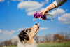 Feeding Your Dog Properly: A Guide to Canine Nutrition
