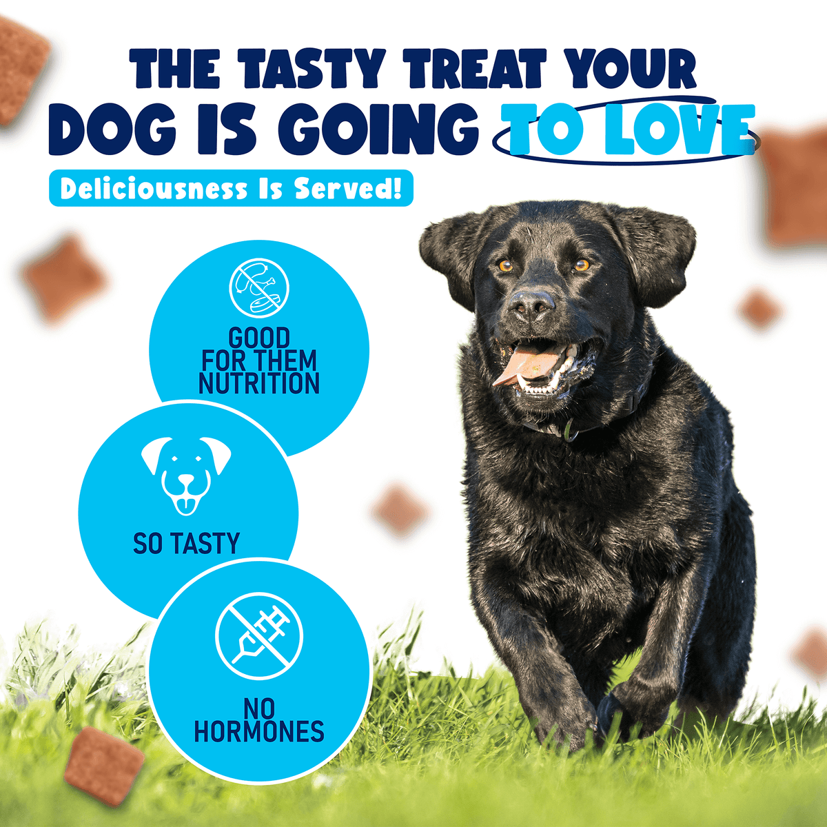 Tail Wiggle Chicken Treats