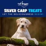 Tail Wiggle Silver Carp Treats (OUT OF STOCK)